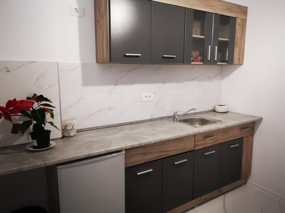 Iasi Jacuzzi Apartment A מראה חיצוני תמונה
